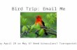 Bird Trip: Email Me Sunday April 29 or May 6? Need binoculars? Transportation?