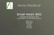 Avrio Medical Small Heart EKG Arrhythmia Research Tool Cardiac Mapping - Microvolt Signal Acquisition Seddrak Luu George Kwei Jeff Chang Joe Ma Eric Chow.