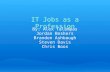 IT Jobs as a Profession By: Alex Talampas Jordan Boshers Brandon Ashbaugh Steven Davis Chris Boos