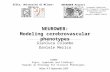 NEUROWEB: Modeling cerebrovascular phenotypes Gianluca Colombo Daniele Merico DISCo, Università di Milano-Bicocca SSW09 Signs, Symptoms and Findings: Towards.