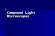 Compound Light Microscopes. Parts Identification.