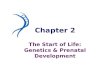 Chapter 2 The Start of Life: Genetics & Prenatal Development.