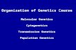 Organization of Genetics Course Molecular Genetics Cytogenetics Transmission Genetics Population Genetics.