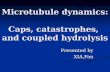 Microtubule dynamics: Caps, catastrophes, and coupled hydrolysis Presented by XIA,Fan.