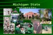 Michigan State University. Engineering Today and Tomorrow … at MSU, in Michigan and Beyond Thomas F. Wolff, Ph.D., P.E. Associate Dean of Engineering.