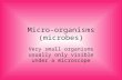 Micro-organisms (microbes) Very small organisms usually only visible under a microscope.