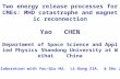 Two energy release processes for CMEs: MHD catastrophe and magnetic reconnection Yao CHEN Department of Space Science and Applied Physics Shandong University.