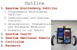 Outline 1.Quantum Braitenberg Vehicles 1.Programmable Braitenberg Vehicles 2.Combinational and Quantum Circuits 3.Deterministic, Probabilistic, and Entangled.