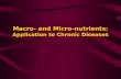 Macro- and Micro-nutrients: Application to Chronic Diseases.