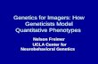 Genetics for Imagers: How Geneticists Model Quantitative Phenotypes Nelson Freimer UCLA Center for Neurobehavioral Genetics.