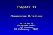 28 February, 2005 Chapter 11 Chromosome Mutations Variation in chromosome number and structure.