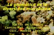 La gramática de la diversidad microbiana Víctor de Lorenzo Centro Nal. Biotecnologia CSIC, Madrid (Spain)