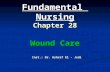 Fundamental Nursing Chapter 28 Wound Care Inst.: Dr. Ashraf El - Jedi.