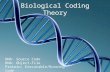 Biological Coding Theory DNA: Source Code RNA: Object-File Protein: Executable/Running Code.