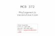MCB 372 Phylogenetic reconstruction Peter Gogarten Office: BSP 404 phone: 860 486-4061, Email: gogarten@uconn.edugogarten@uconn.edu.