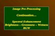 Image Pre-Processing Continuation… Spectral Enhancement Brightness – Greenness – Wetness BGW Image Pre-Processing Continuation… Spectral Enhancement Brightness.