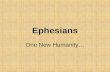 Ephesians One New Humanity…. Ephesians Author… –Implied author of text is surely Paul “Paul, an apostle of Christ Jesus by the will of God” (1:1) “This.