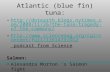 Atlantic (blue fin) tuna:  26/the-tuna-tragedy-of-the-commons/ 26/the-tuna-tragedy-of-the-commons