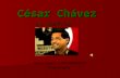 César Chávez Social Studies – Pre Kindergarten Nancy Delgado An American Hero.