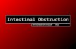 Intestinal Obstruction Ahmed Badrek-Amoudi FRCS. The common Scenario A 50 year old gentleman presents with abdominal pain, distension and absolute constipation.