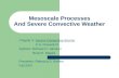 Mesoscale Processes And Severe Convective Weather Chapter 3: Severe Convective Storms C.A. Doswell III Authors: Richard H. Johnson Brian E. Mapes Presenter: