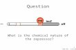 MCB 140 – 11/8/2006 1 Question What is the chemical nature of the repressor?
