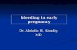 Bleeding in early pregnancy Dr. Abdalla H. Alsadig MD.