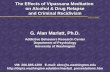 UW/ABRC The Effects of Vipassana Meditation on Alcohol & Drug Relapse and Criminal Recidivism G. Alan Marlatt, Ph.D. Addictive Behaviors Research Center.