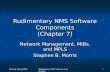Revised Spring 2006 Rudimentary NMS Software Components 1 Rudimentary NMS Software Components (Chapter 7) Network Management, MIBs, and MPLS Stephen B.