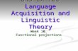 Week 10. Functional projections GRS LX 700 Language Acquisition and Linguistic Theory.