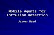 Mobile Agents for Intrusion Detection Jaromy Ward.