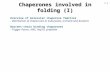 Overview of molecular chaperone families - distribution of chaperones in eukaryotes, archaea and bacteria Nascent-chain binding chaperones - Trigger Factor,
