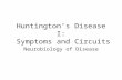 Huntington’s Disease I: Symptoms and Circuits Neurobiology of Disease.