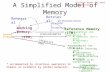 A Simplified Model of Memory Working Memory * (STM) Reference Memory (LTM) Retrieval recall declarative (or explicit) * declarative (or explicit) * Sensory.