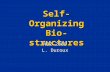Self-Organizing Bio-structures NB2-2009 L. Duroux.