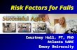 Risk Factors for Falls Courtney Hall, PT, PhD Atlanta VAMC Emory University.