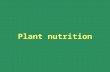 Plant nutrition. Plant Nutrition 1. What is meant by “plant nutrition” 2. The chemical elements required by plants 3. How plants take up mineral elements.