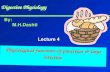 Digestive Physiology Digestive Physiology Physiological functions of pancrease & large intestine By: M.H.Dashti Lecture 4.