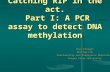 Catching RIP in the act. Part I: A PCR assay to detect DNA methylation Paul Donegan Freitag Lab Biochemistry and Biophysics Department Oregon State University.