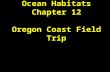Ocean Habitats Chapter 12 Oregon Coast Field Trip.