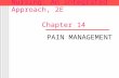 Medical-Surgical Nursing: An Integrated Approach, 2E Chapter 14 PAIN MANAGEMENT