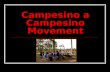 Campesino a Campesino Movement. Organized People Access to productive land Importance of secure land tenure Access to a guaranteed market Empowerment.