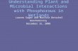 Understanding Plant and Microbial Interactions with Phosphorous in Wetlands Lauren Sager and Marissa Detschel Geochemistry December 15, 2008.
