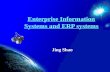 Enterprise Information Systems and ERP systems Jing Shao.