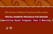 Competitive Grant Program: Year 2 Meeting 3. SPECIAL DIABETES PROGRAM FOR INDIANS Competitive Grant Program: Year 2 Meeting 3 SPECIAL DIABETES PROGRAM.