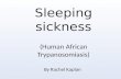 Sleeping sickness (Human African Trypanosomiasis) By Rachel Kaplan.
