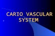CARIO VASCULAR SYSTEM CARIO VASCULAR SYSTEM. THE HEART Anatomy and Physiology THE HEART Anatomy and Physiology The heart compose of three layers – Endocardium: