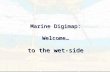 For further information or to get involved in service testing contact edina@ed.ac.uk Marine Digimap: Welcome… to the wet-side.