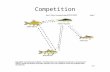 Competition. Species can compete for two resources and can coexist when 2 conditions are met: 1) The habitat must be such that one species is more limited.