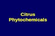 Citrus Phytochemicals. Designer Foods Functional Foods Hypernutritious Foods Nutraceuticals.
